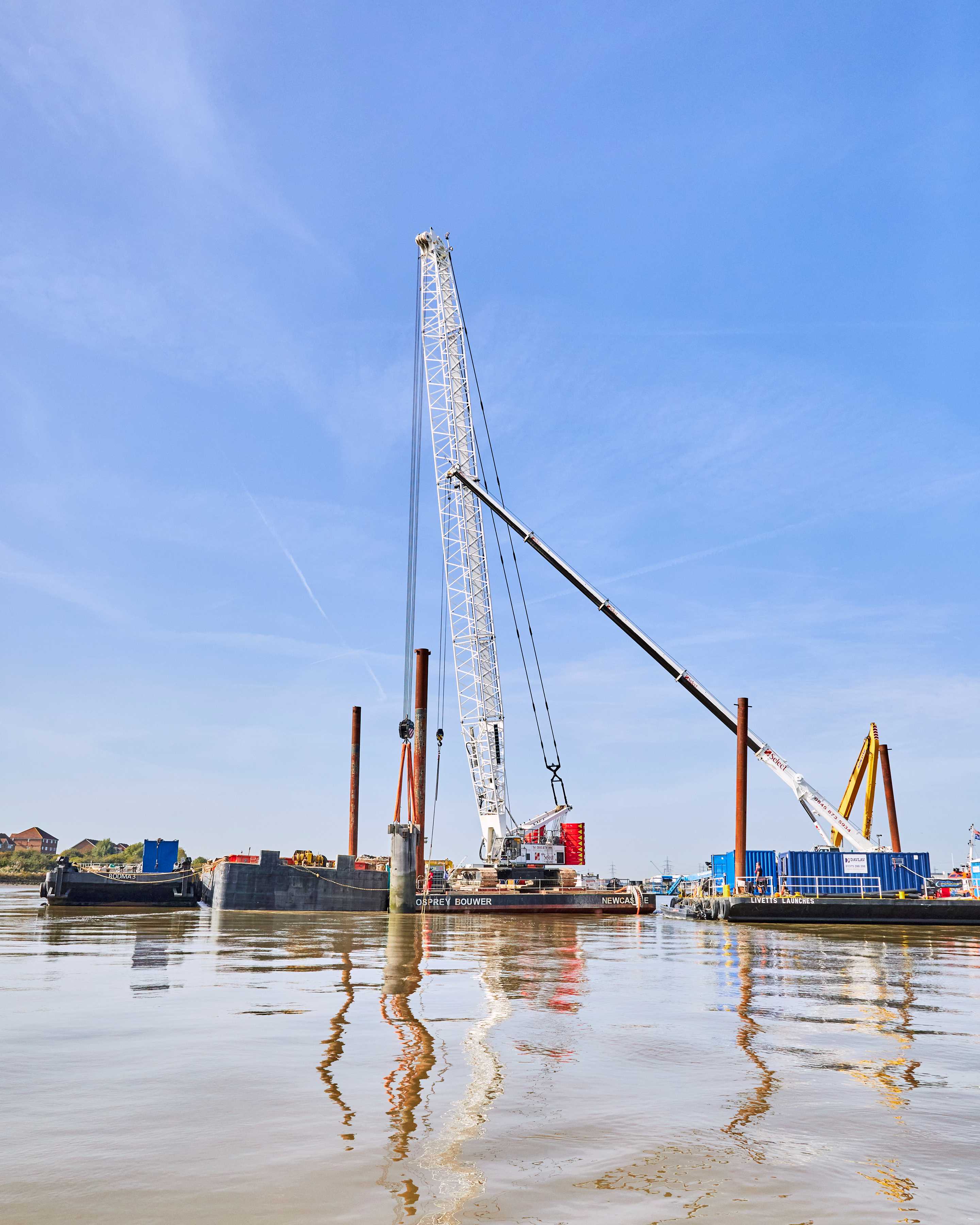 barking cooling 1.png